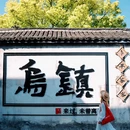 乌镇古镇旅游区 - 嘉兴市旅游 缩略图 9