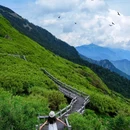 神农架风景区 - 神农架林区旅游 缩略图 9