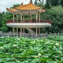 洪湖公园 - 深圳市旅游 缩略图 2
