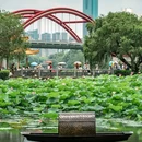 洪湖公园 - 深圳市旅游 缩略图 8