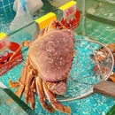 七欣天香辣蟹火锅(深圳集信大厦店) - 深圳市旅游 缩略图 9