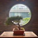 西安宴·陕府菜 - 西安市旅游 缩略图 8