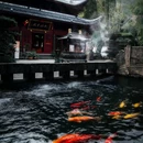 重庆市北碚区温泉寺 - 重庆市旅游 缩略图 4