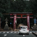 奈良 - 日本旅游 缩略图 3