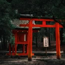 奈良 - 日本旅游 缩略图 1