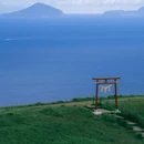 东伊豆町 - 日本旅游 缩略图 8
