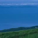 东伊豆町 - 日本旅游 缩略图 9