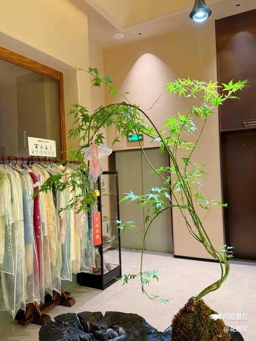 品缦兮酒店(五一广场IFS国金中心店) - 长沙市旅游