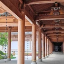 广德寺 - 宁波旅游 缩略图 4