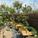 瓦乌·茶颂蔬食 - 深圳市旅游 缩略图 8