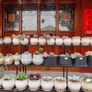 巉头进宝寺 - 温州市旅游 缩略图 3