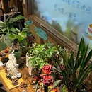 Green·劳伦斯的餐厅 - 厦门市旅游 缩略图 3