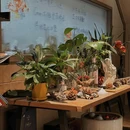 Green·劳伦斯的餐厅 - 厦门市旅游 缩略图 8