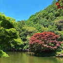九溪烟树 - 杭州市旅游 缩略图 1