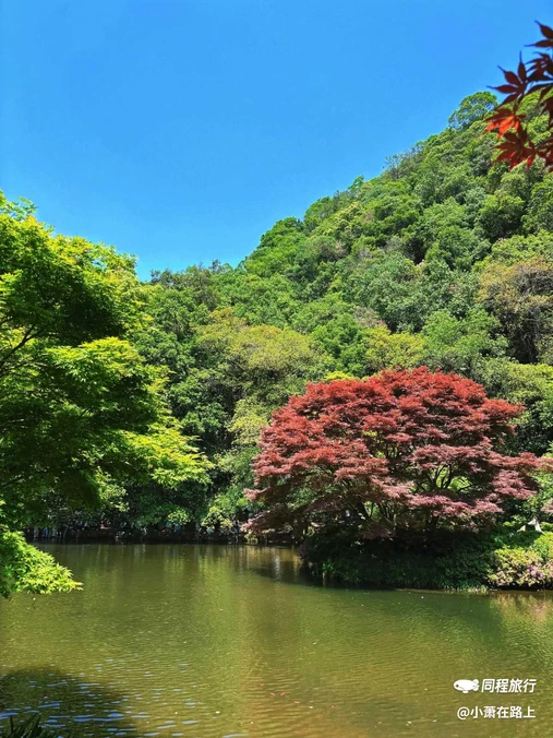 九溪烟树 - 杭州市旅游