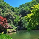九溪烟树 - 杭州市旅游 缩略图 2