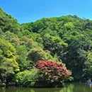 九溪烟树 - 杭州市旅游 缩略图 3