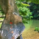 九溪烟树 - 杭州市旅游 缩略图 8