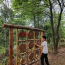 上围艺术村 - 深圳市旅游 缩略图 4