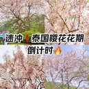 番禺儿童公园 - 广州市旅游 缩略图 1