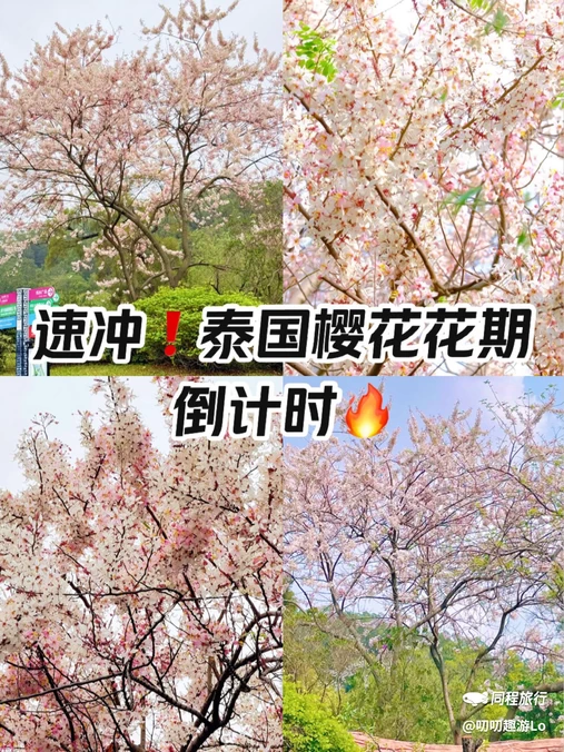 番禺儿童公园 - 广州市旅游