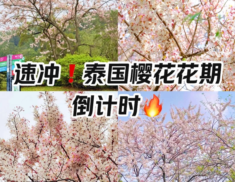 番禺儿童公园 - 广州市旅游 1