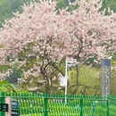 番禺儿童公园 - 广州市旅游 缩略图 3