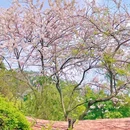 番禺儿童公园 - 广州市旅游 缩略图 4
