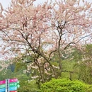 番禺儿童公园 - 广州市旅游 缩略图 7