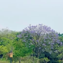 新塘万田生态公园 - 广州旅游 缩略图 6