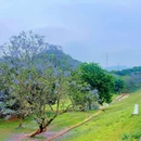 新塘万田生态公园 - 广州旅游 缩略图 7