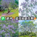 新塘万田生态公园 - 广州旅游 缩略图 1