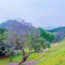 新塘万田生态公园 - 广州旅游 缩略图 2