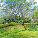 新塘万田生态公园 - 广州旅游 缩略图 3