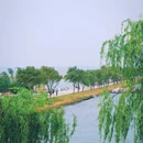 合肥岸上草原 - 合肥市旅游 缩略图 8