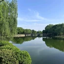 凤翔湖公园 - 成都市旅游 缩略图 9