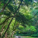 虎跑公园 - 杭州市旅游 缩略图 2