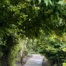 龙椅山植物园 - 成都市旅游 缩略图 3