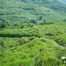 温岭市高陈山庄养老院 - 台州市旅游 缩略图 6