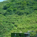 温岭市高陈山庄养老院 - 台州市旅游 缩略图 8