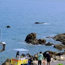 青岛中山公园 - 青岛市旅游 缩略图 2