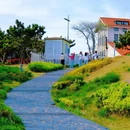 青岛中山公园 - 青岛市旅游 缩略图 9