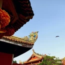 潮州开元寺 - 潮州市旅游 缩略图 4