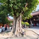 潮州开元寺 - 潮州市旅游 缩略图 5