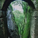 武夷山风景名胜区-白云禅寺 - 南平市旅游 缩略图 5