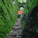 武夷山风景名胜区-白云禅寺 - 南平市旅游 缩略图 1