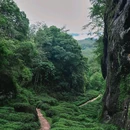 武夷山风景名胜区-白云禅寺 - 南平市旅游 缩略图 8