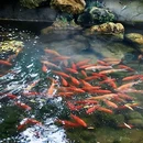 自然湖产业园 - 沈阳旅游 缩略图 5