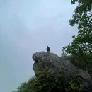 走马岗游步道 - 绍兴市旅游 缩略图 4