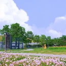 大房郢公园 - 合肥市旅游 缩略图 4